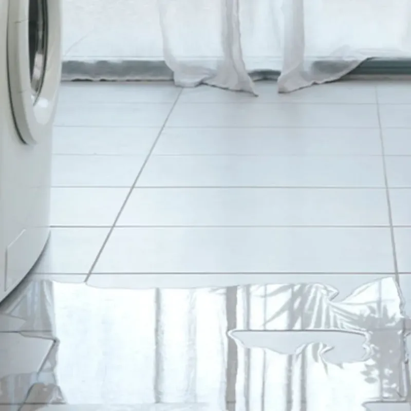 Appliance Leak Cleanup in Livingston County, MI