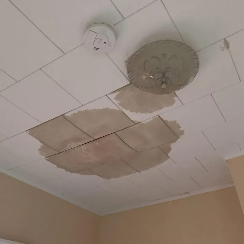 Ceiling Water Damage Repair in Livingston County, MI