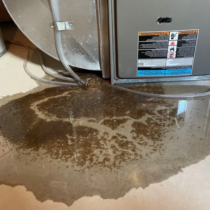 Pipe Burst and Leak Restoration in Livingston County, MI