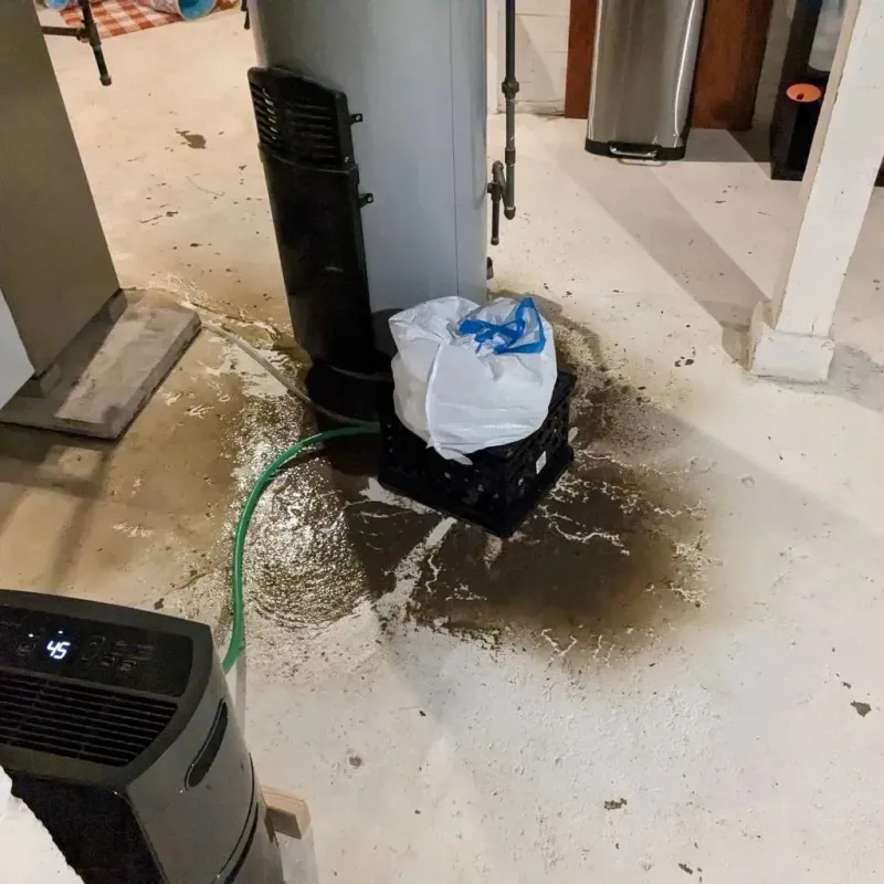Sewage Backup Cleanup Service in Livingston County, MI